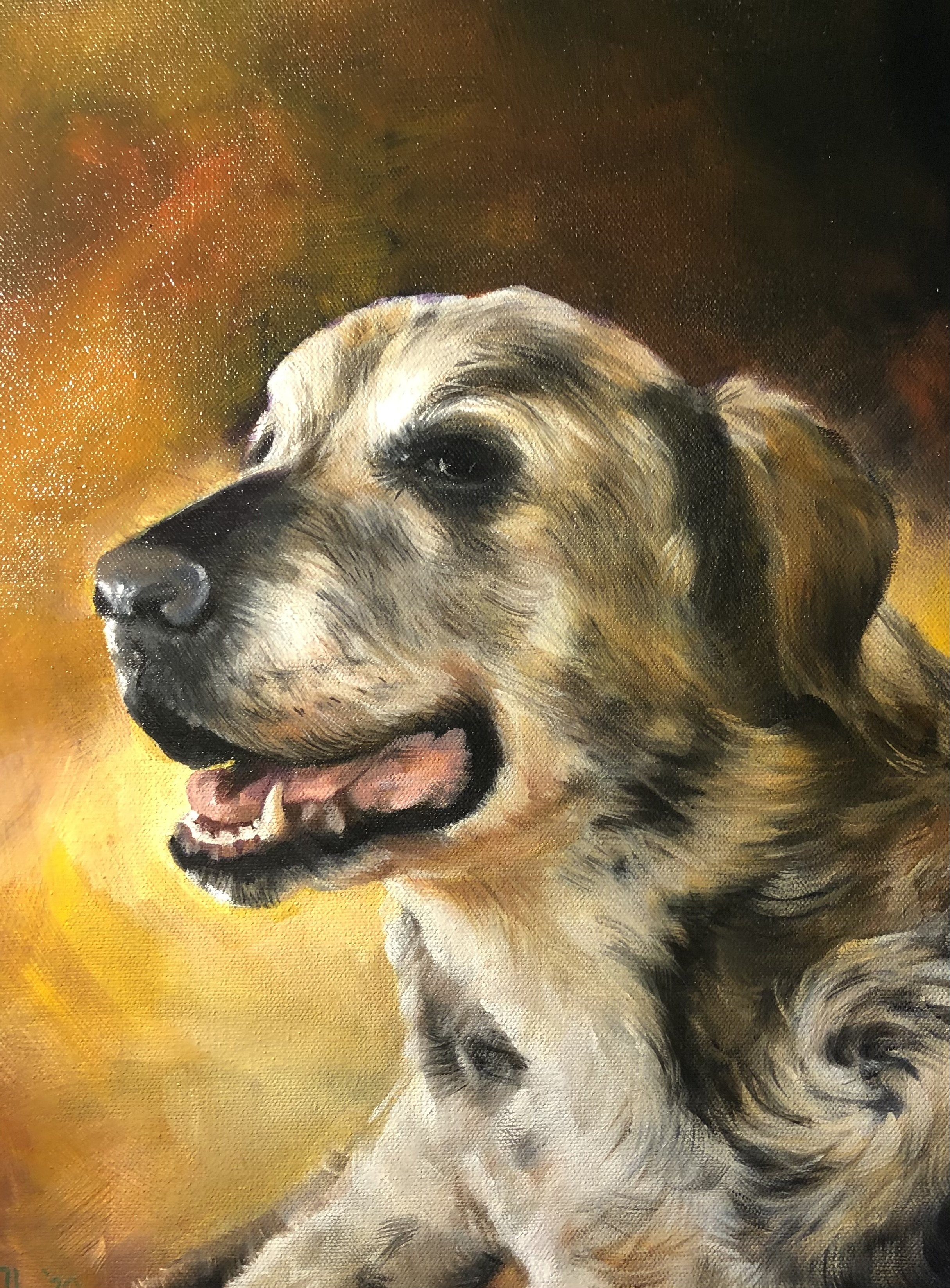 Pet painting in oil by Jane Lucchino
