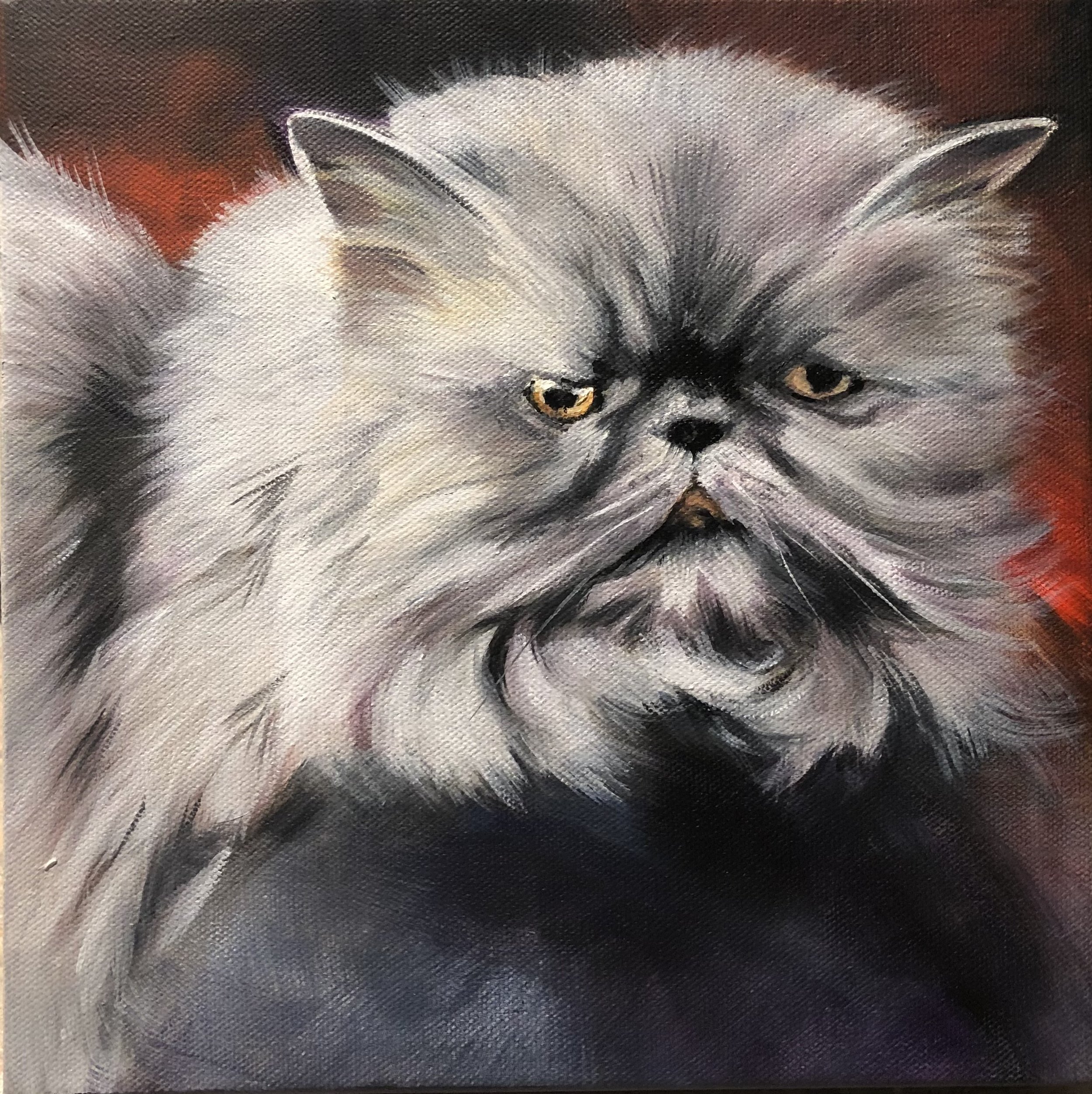 Pet painting in oil by Jane Lucchino