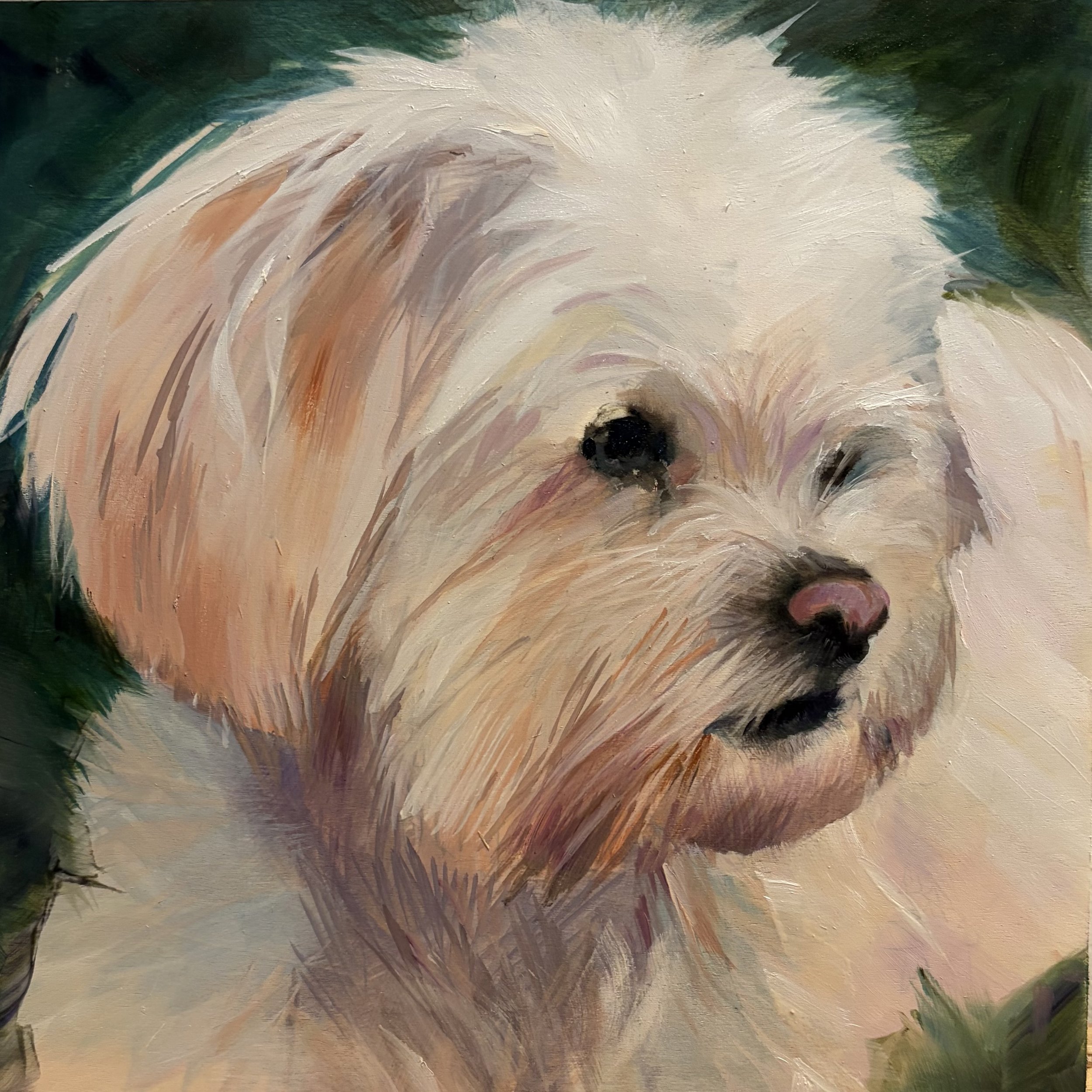 Pet painting in oil by Jane Lucchino