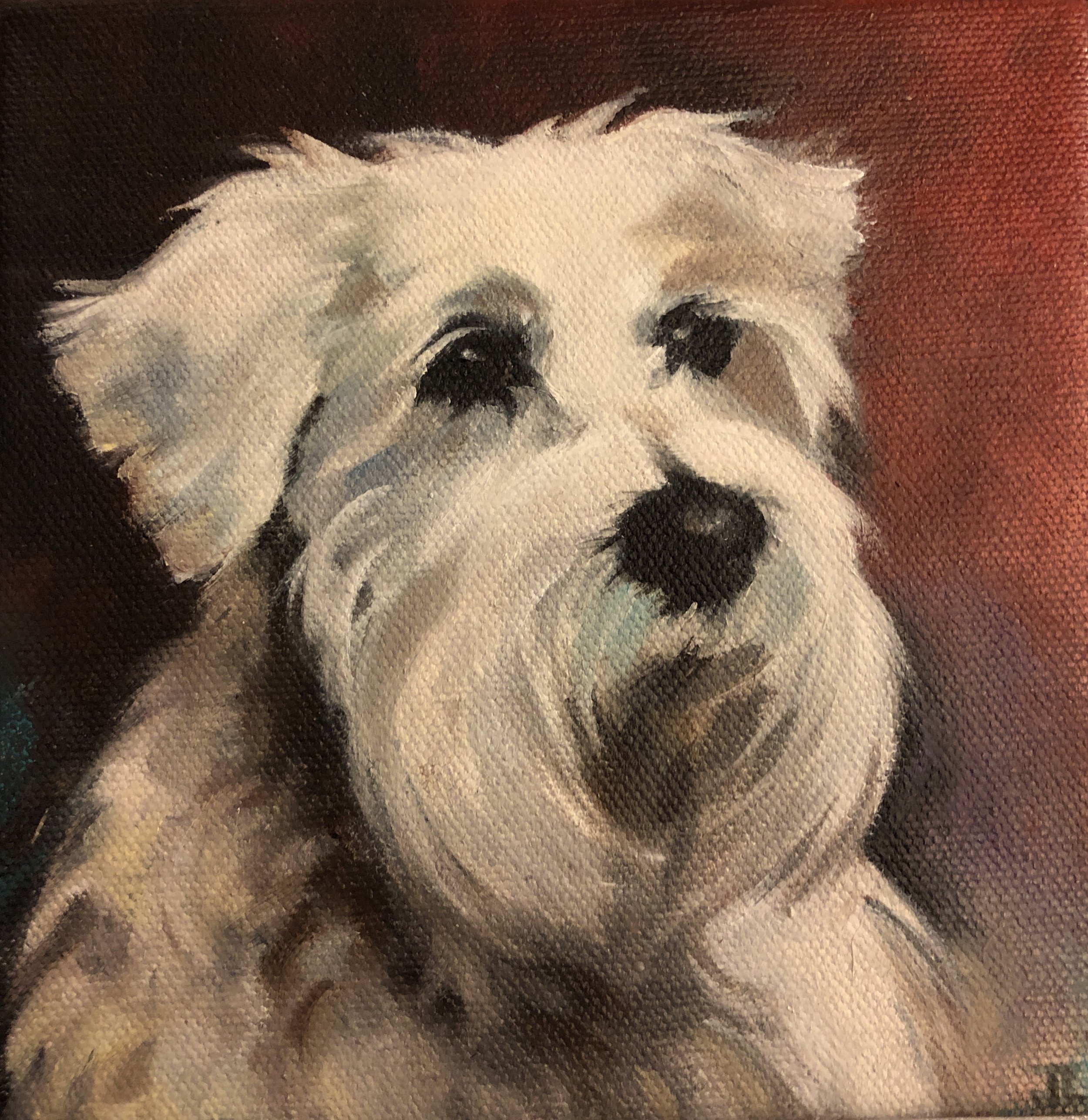 Pet painting in oil by Jane Lucchino